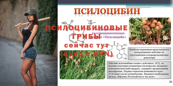 трава Алзамай